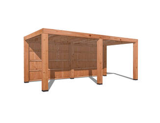 Douglas Overkapping Strak 3x6m. | Type 14